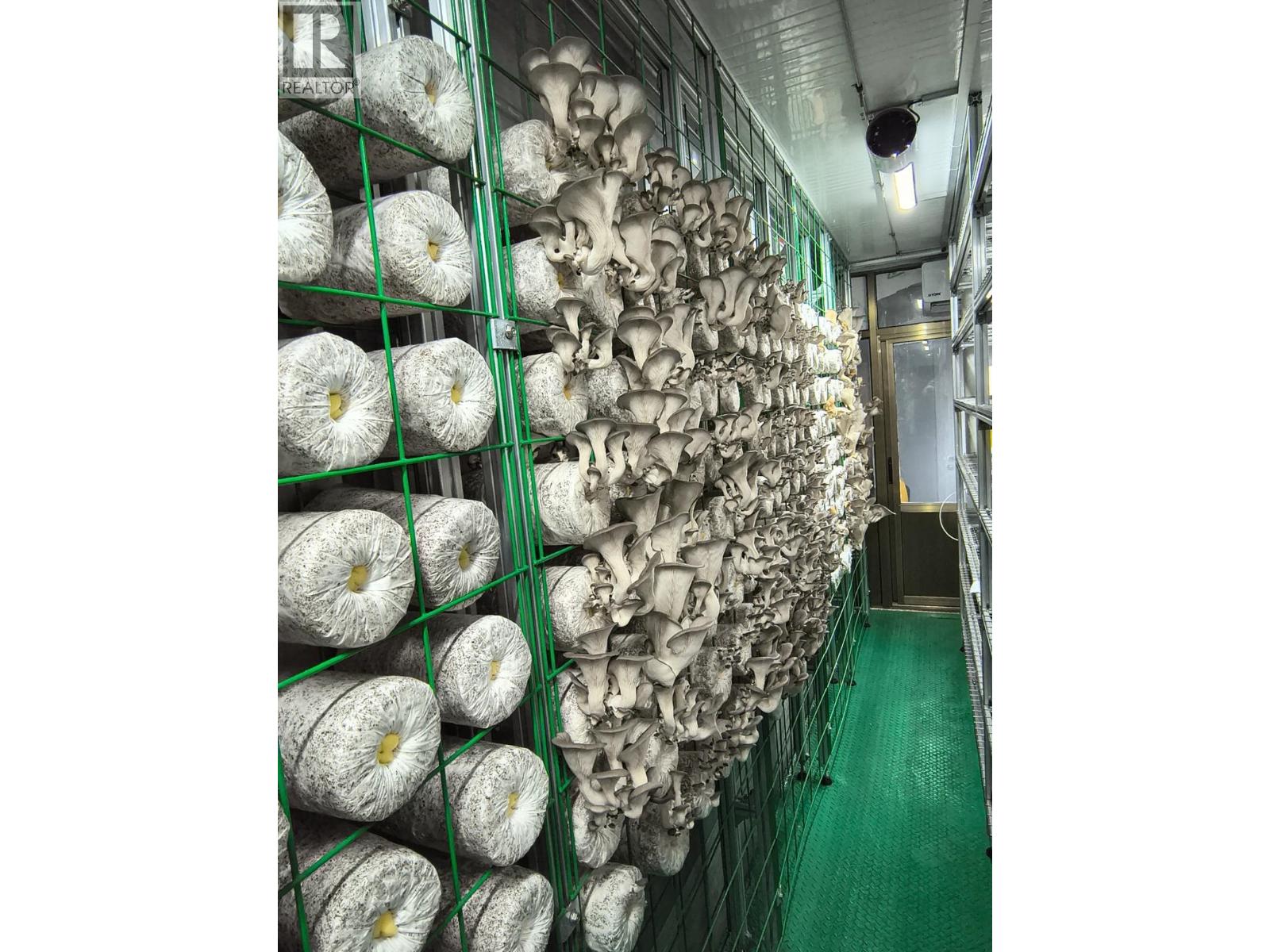 12022 Confidential Street, Vancouver, British Columbia  V0V 0V0 - Photo 5 - C8073691