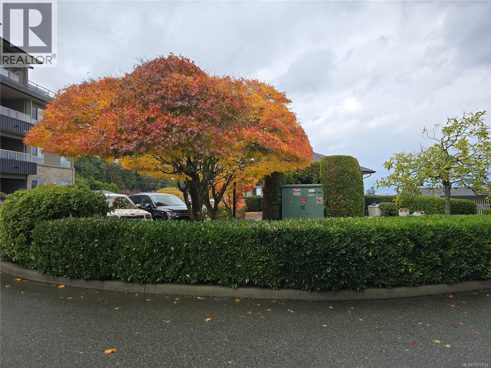 404 6728 Dickinson Rd, Nanaimo, British Columbia  V9V 1T3 - Photo 33 - 1019014