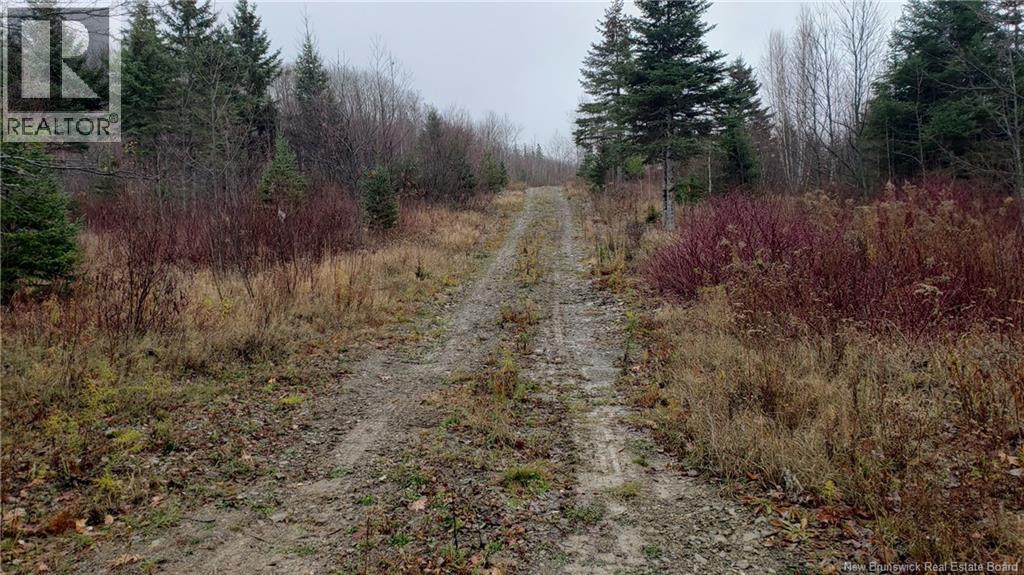 . Urney Road, Waterford, New Brunswick  E4E 5A4 - Photo 1 - NB129948