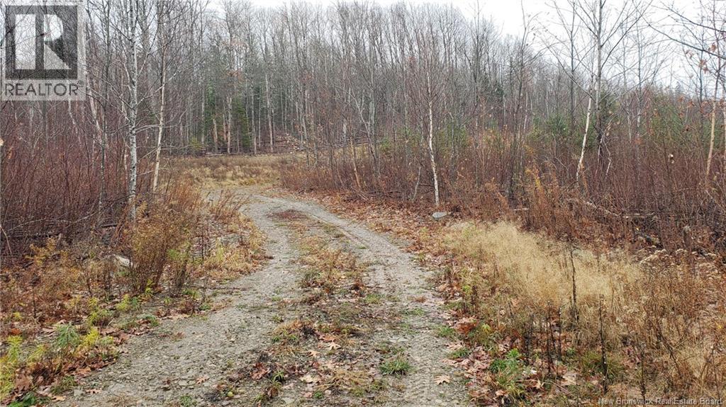 . Urney Road, Waterford, New Brunswick  E4E 5A4 - Photo 12 - NB129948