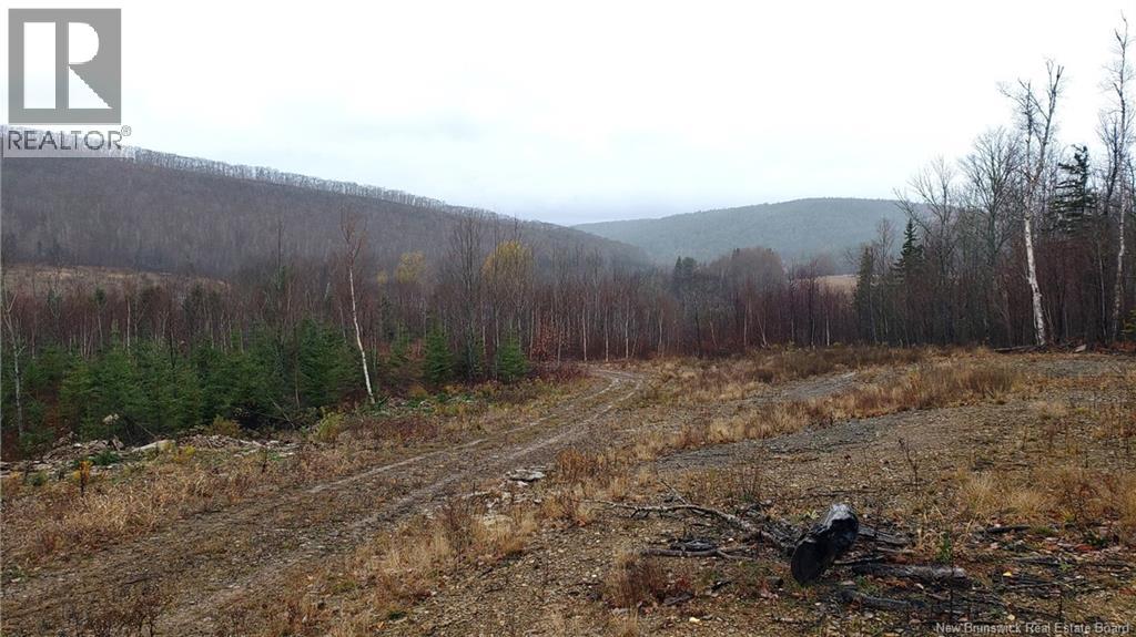 . Urney Road, Waterford, New Brunswick  E4E 5A4 - Photo 16 - NB129948