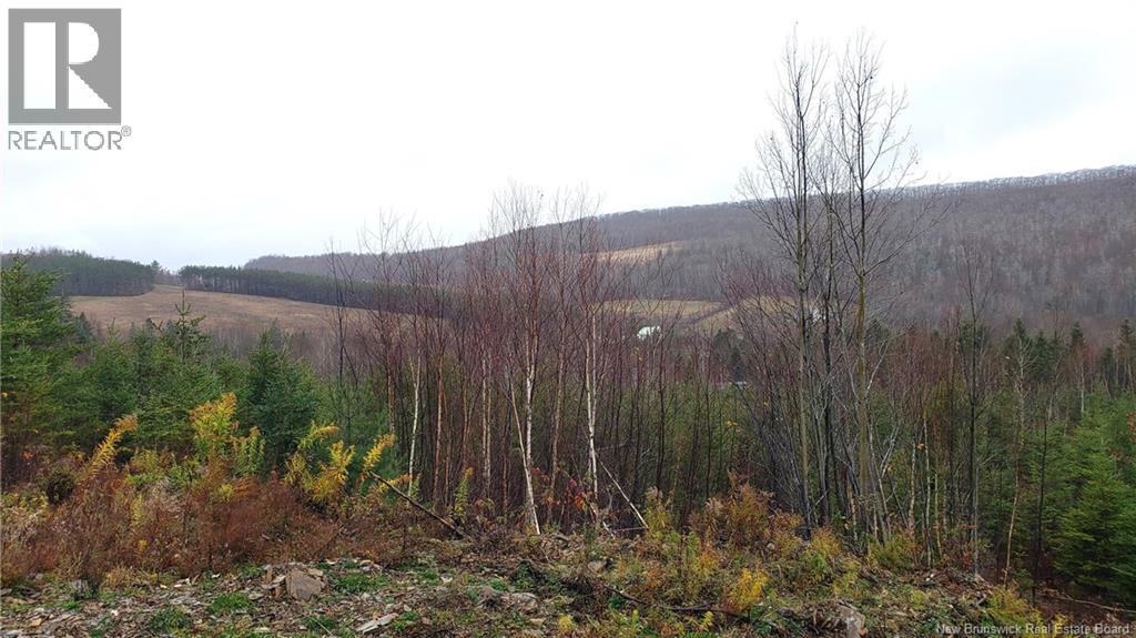 . Urney Road, Waterford, New Brunswick  E4E 5A4 - Photo 5 - NB129948