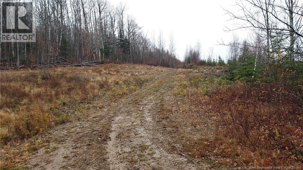 . Urney Road, Waterford, New Brunswick  E4E 5A4 - Photo 15 - NB129948