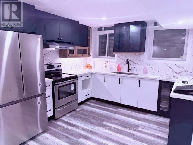 Basement - 873 William Lee Avenue, Oshawa, Ontario  L1K 0C4 - Photo 3 - E12528964