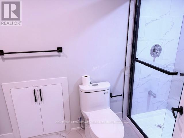 Basement - 873 William Lee Avenue, Oshawa, Ontario  L1K 0C4 - Photo 13 - E12528964