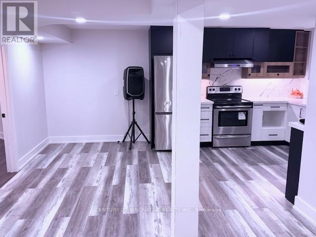 Basement - 873 William Lee Avenue, Oshawa, Ontario  L1K 0C4 - Photo 4 - E12528964