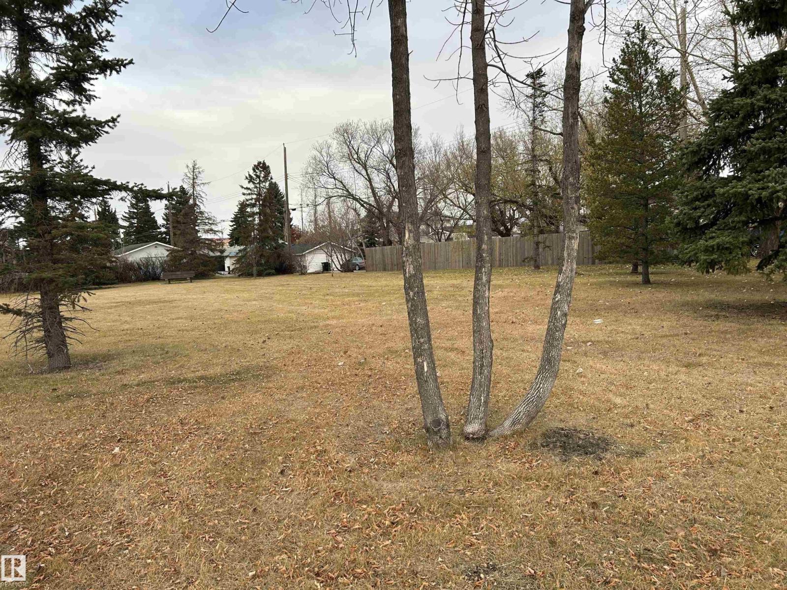 11407 134a Av Nw, Edmonton, Alberta  T5E 1M5 - Photo 40 - E4465308