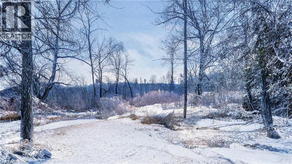 4313 Sideroad 20, Bradford, Ontario  L3Z 2A5 - Photo 49 - 40781634