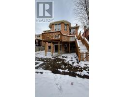 LOWER - 24 CAIRNS DRIVE, Markham, Ontario