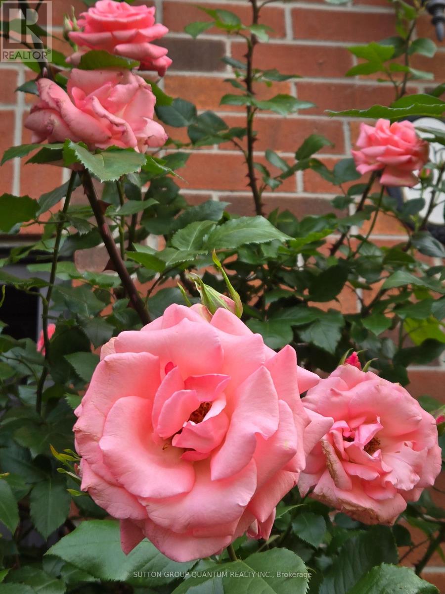 33 - 300 Ravineview Way, Oakville, Ontario  L6H 7J1 - Photo 37 - W12425626