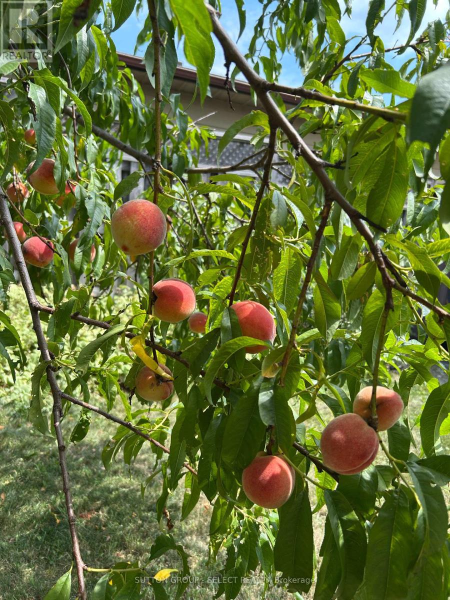 58 Villeneuve Crescent, London East, Ontario  N5V 1M8 - Photo 29 - X12531660