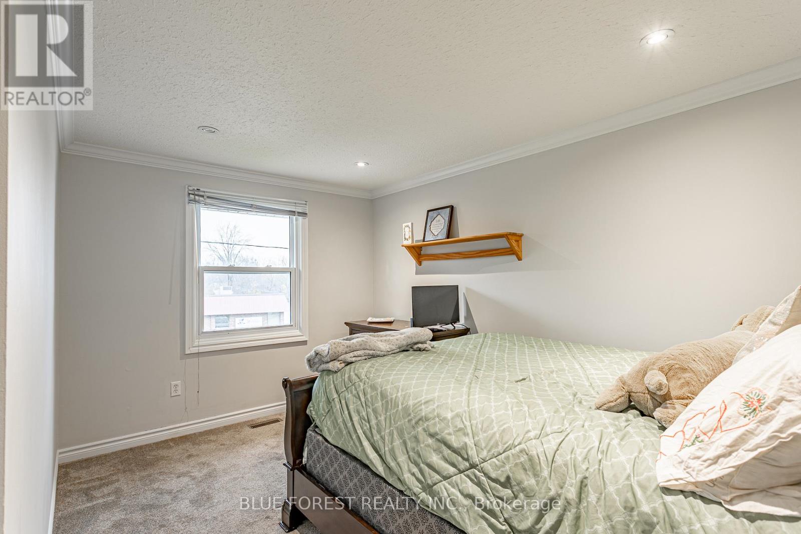 4167 Hamilton Road, Thames Centre, Ontario  N0L 1G2 - Photo 11 - X12531716