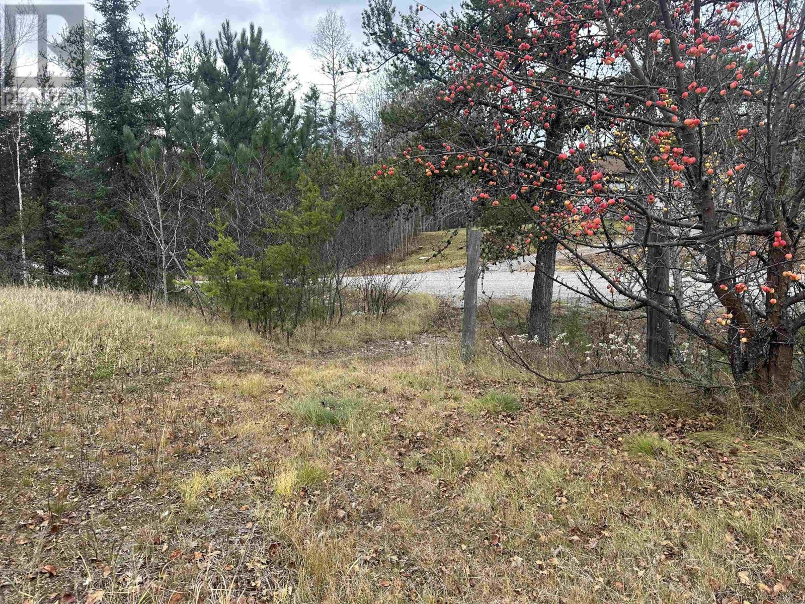 5 Northern Cres, Armstrong Station, Ontario  P0T 1A0 - Photo 36 - TB253398