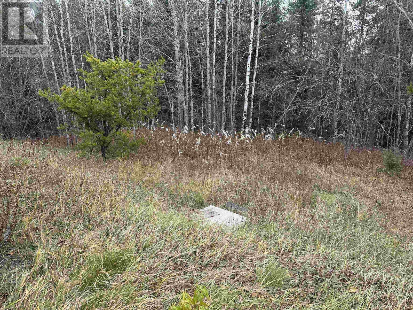 5 Northern Cres, Armstrong Station, Ontario  P0T 1A0 - Photo 40 - TB253398