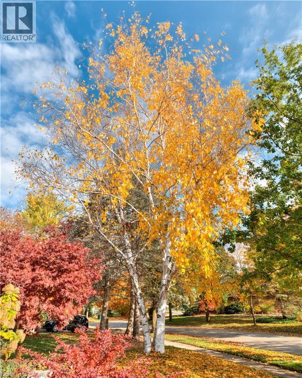 455 Winchester Drive, Waterloo, Ontario  N2T 1H6 - Photo 48 - 40785837