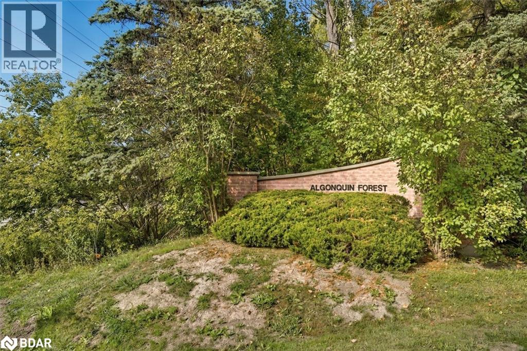 40 Algonquin Forest Drive, Holland Landing, Ontario  L9N 0C6 - Photo 46 - 40787269