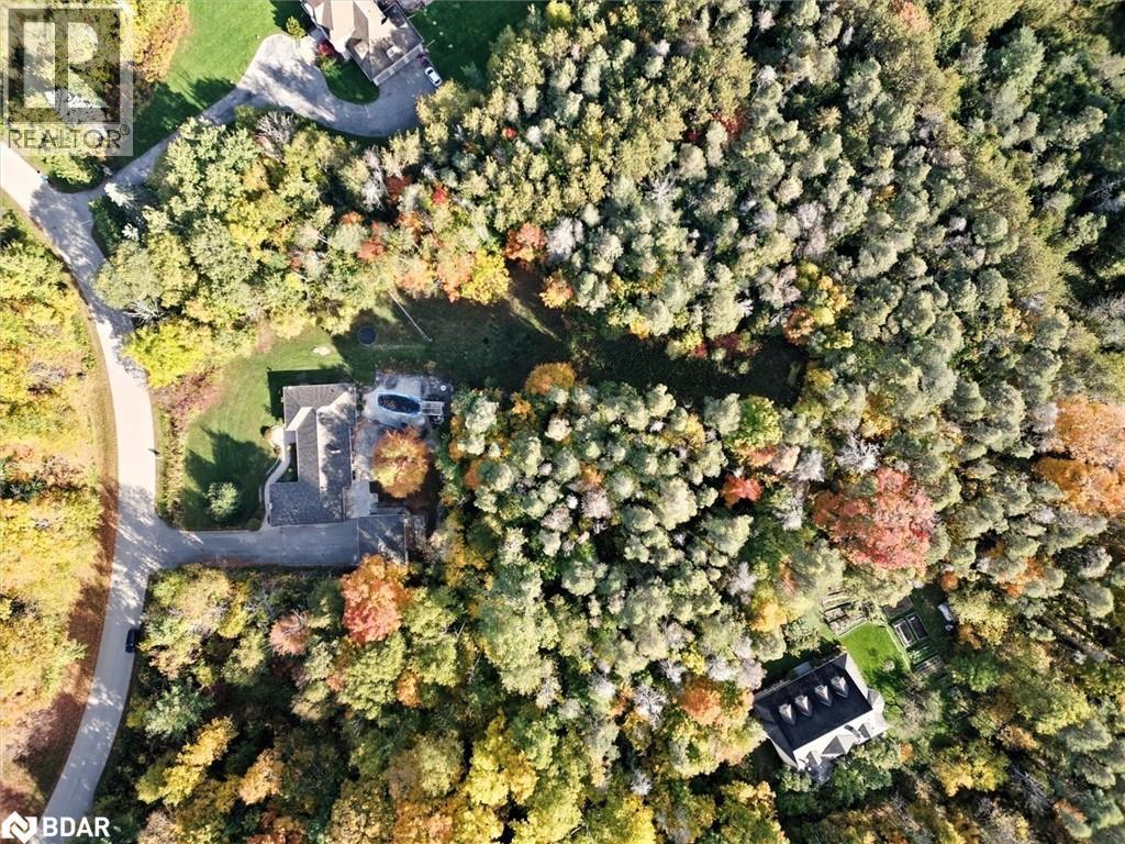 40 Algonquin Forest Drive, Holland Landing, Ontario  L9N 0C6 - Photo 49 - 40787269