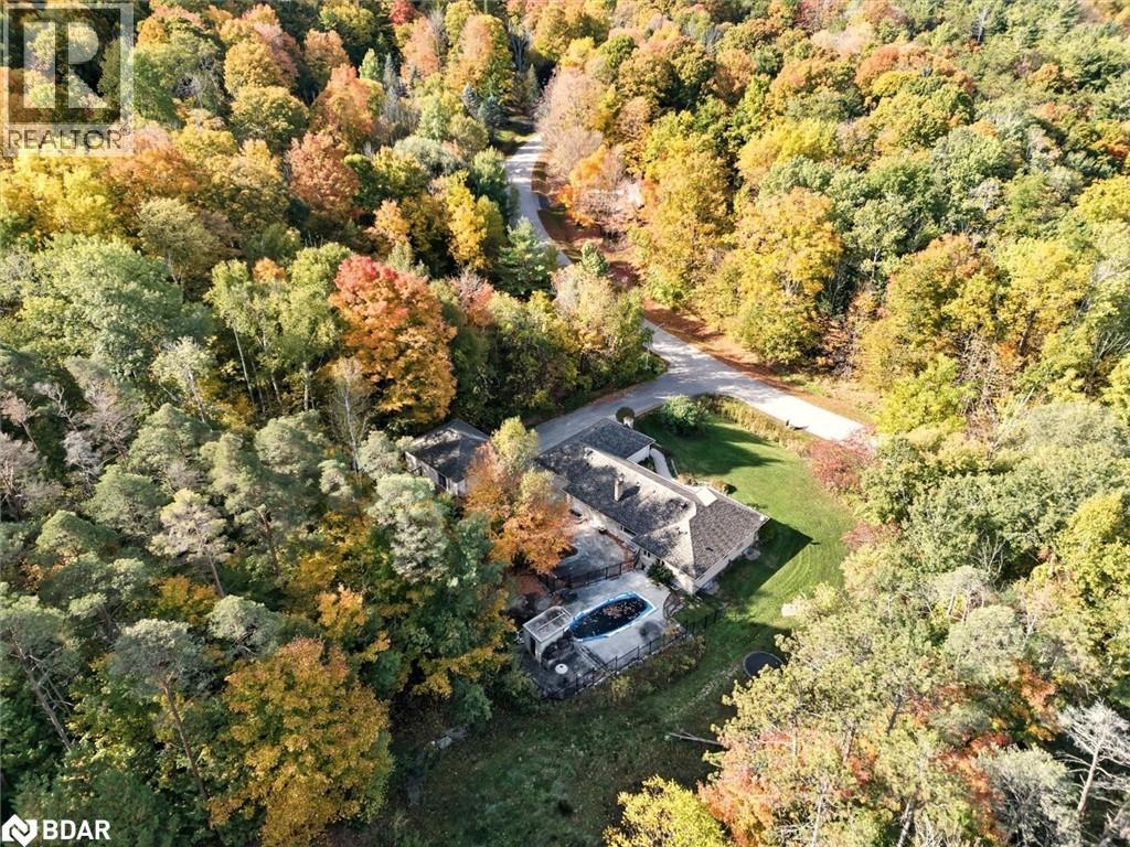 40 Algonquin Forest Drive, Holland Landing, Ontario  L9N 0C6 - Photo 50 - 40787269