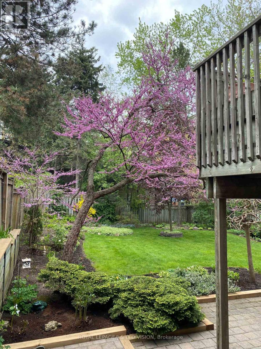 2 Ivor Road, Toronto, Ontario  M4N 2H4 - Photo 42 - C12531960