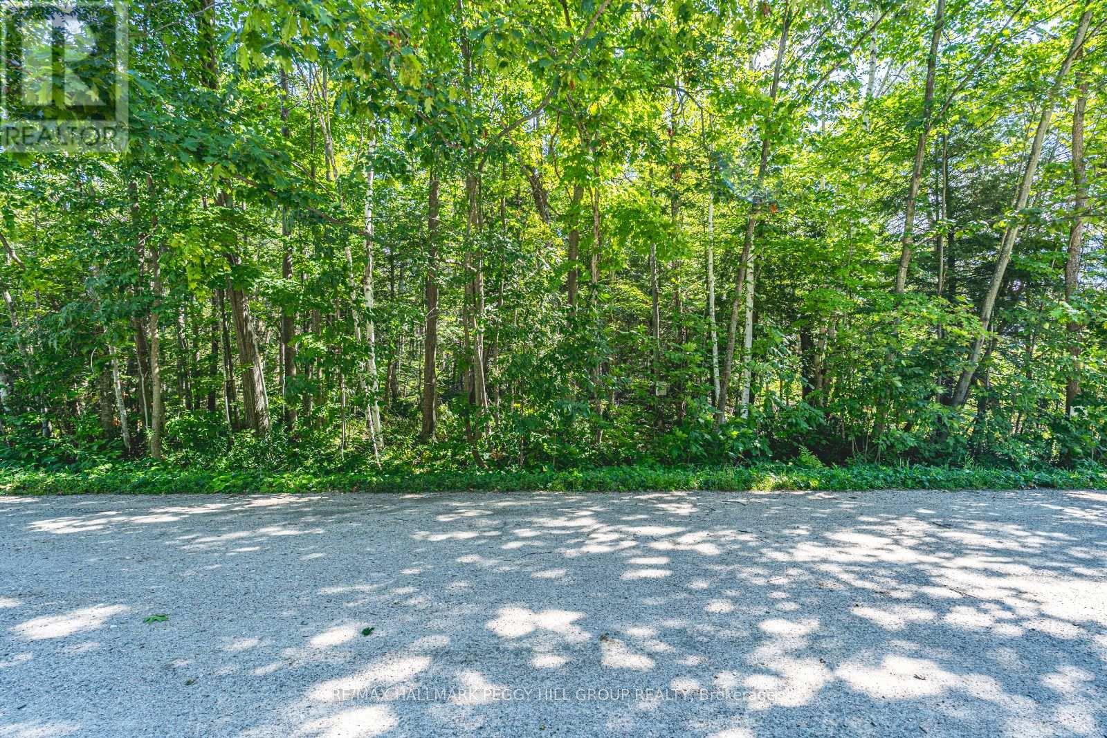 38 Lasalle Trail, Tiny, Ontario  L9M 0G3 - Photo 6 - S12532130