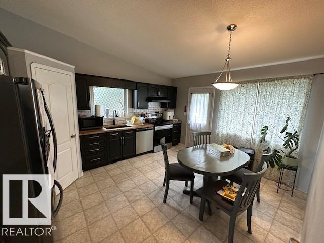 4506 49 Av, Thorsby, Alberta  T0C 2P0 - Photo 8 - E4465367