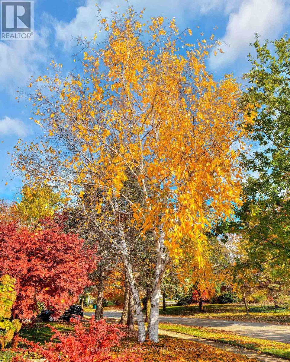 455 Winchester Drive, Waterloo, Ontario  N2T 1H6 - Photo 34 - X12532098