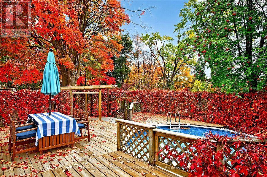 14 Alexander Avenue, Peterborough, Ontario K9J 6B4 - Photo 24 - X12532440