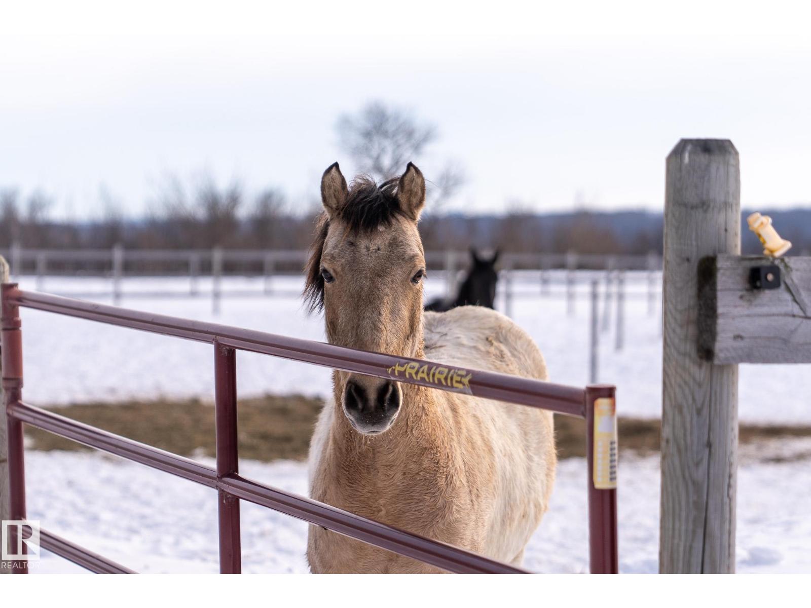 20213 Township Road 460, Rural Camrose County, Alberta  T4V 2M9 - Photo 56 - E4465370