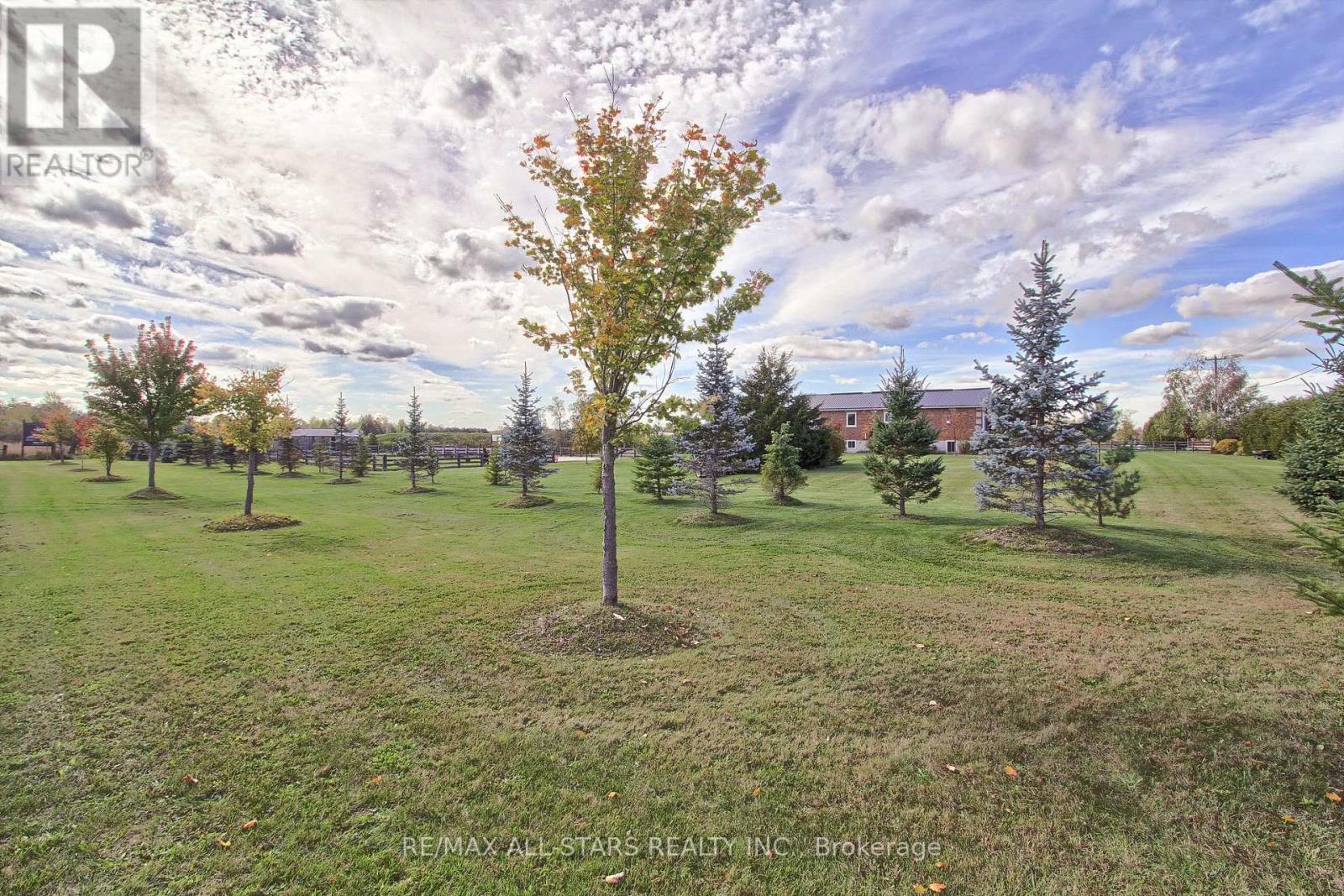 5227 Boag Road, East Gwillimbury, Ontario  L0G 1M0 - Photo 5 - N12532488