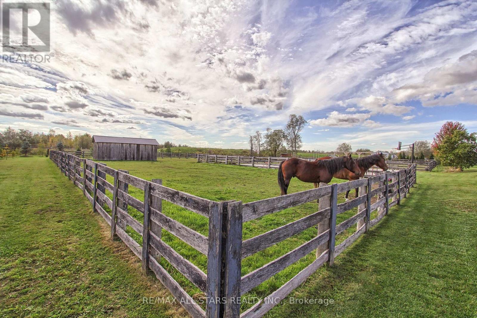 5227 Boag Road, East Gwillimbury, Ontario  L0G 1M0 - Photo 50 - N12532488