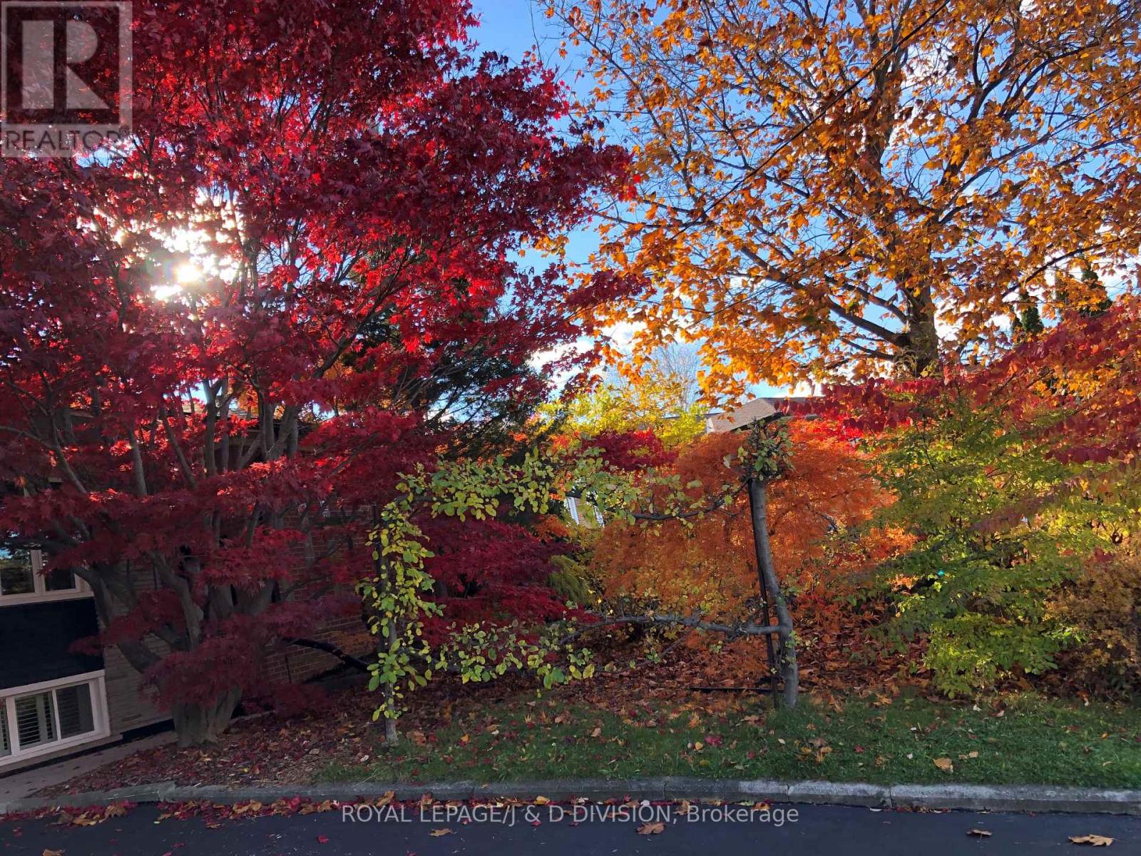 27 Paramount Court, Toronto, Ontario  M6M 2L3 - Photo 2 - W12532718