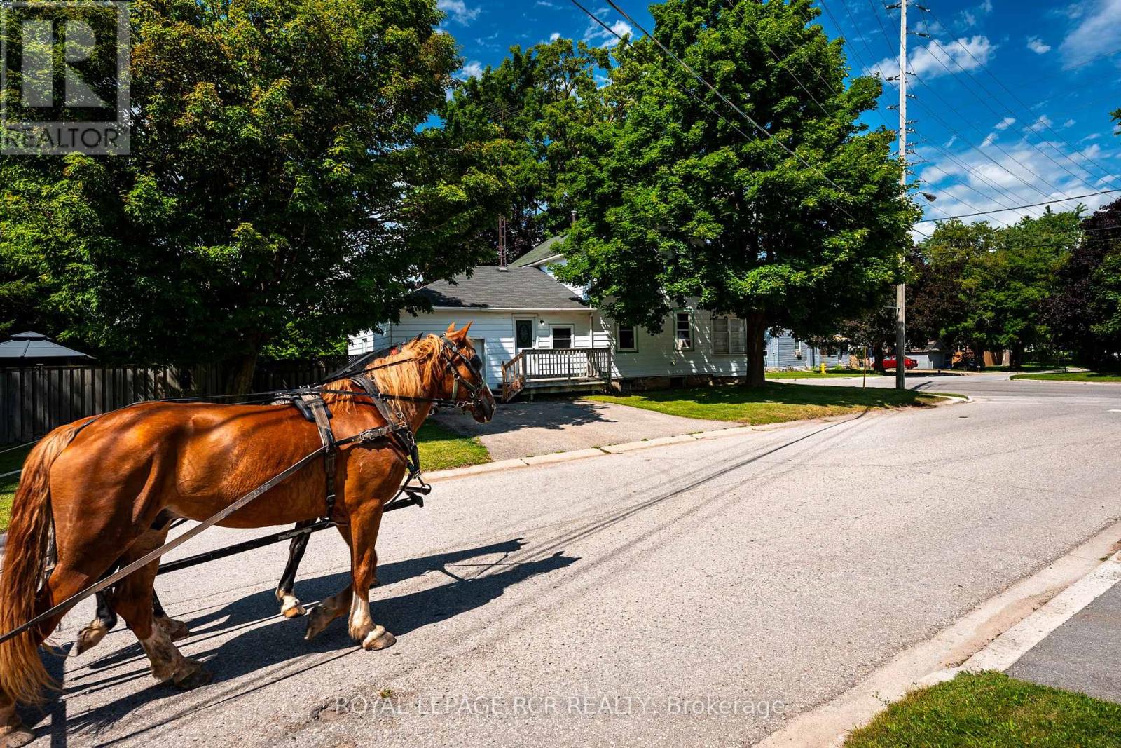 168 Victoria Street, Shelburne, Ontario  L9V 2Y1 - Photo 9 - X12532442