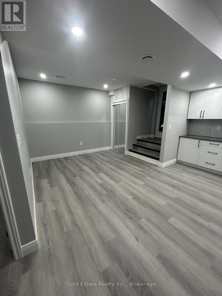 Lower - 228 Three Wood Drive, Woodstock, Ontario  N4T 0E2 - Photo 4 - X12532706