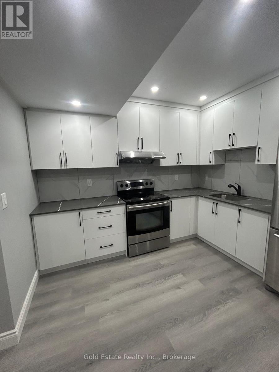 Lower - 228 Three Wood Drive, Woodstock, Ontario  N4T 0E2 - Photo 6 - X12532706