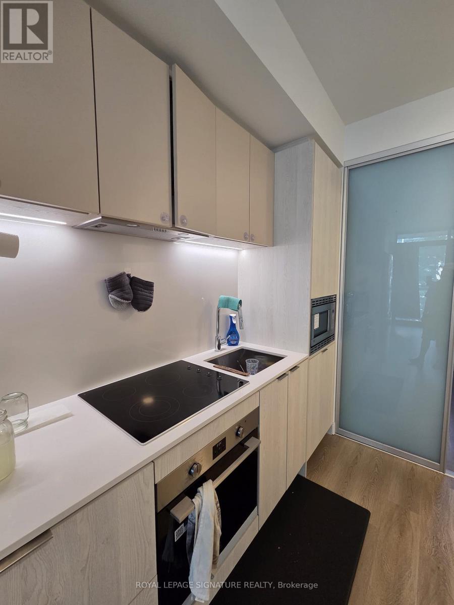 314 - 86 Dundas Street E, Mississauga, Ontario  L5A 1W4 - Photo 3 - W12532784