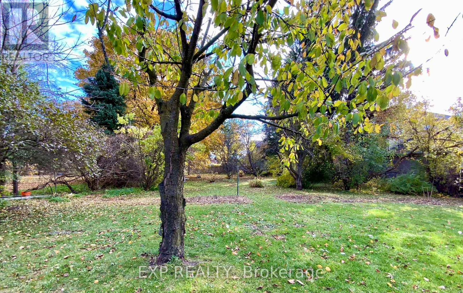 69 Edgar Avenue, Richmond Hill, Ontario  L4C 6K2 - Photo 25 - N12532372