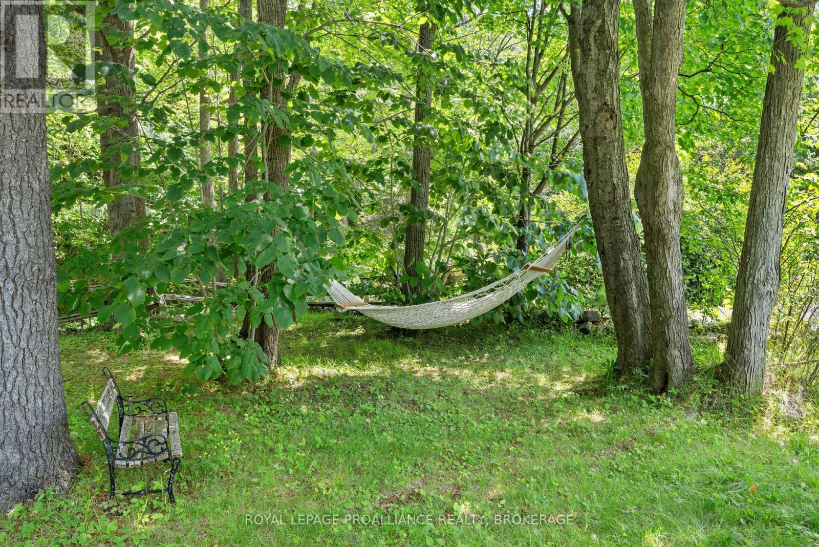 1597 Shales Road, Frontenac (Frontenac South), Ontario  K0H 2L0 - Photo 33 - X12532944