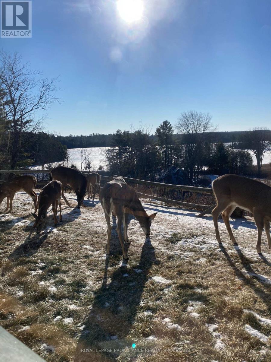 1597 Shales Road, Frontenac (Frontenac South), Ontario  K0H 2L0 - Photo 36 - X12532944