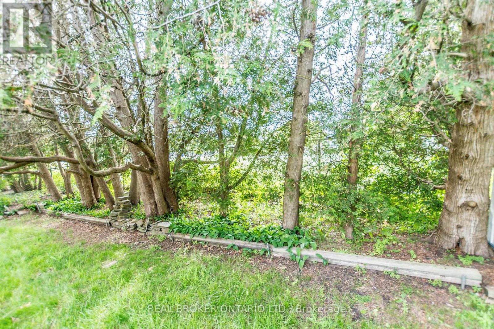 Upper - 1821 Truscott Drive, Mississauga, Ontario L5J 2A1 - Photo 37 - W12505940