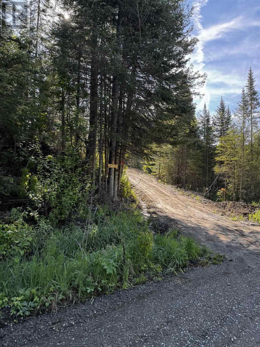 13 Pantilla Rd, Searchmont, Ontario P0S 1J0 - Photo 3 - SM253091