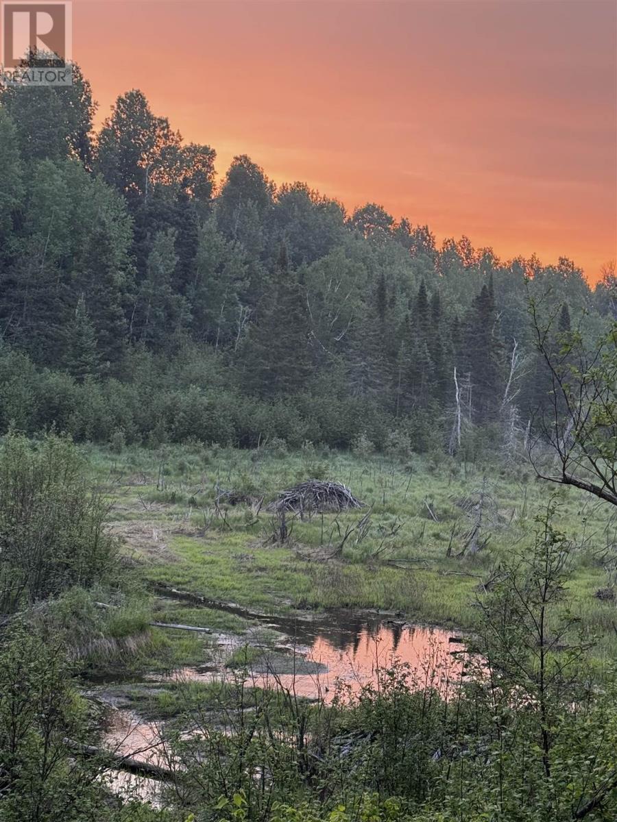 13 Pantilla Rd, Searchmont, Ontario P0S 1J0 - Photo 4 - SM253091