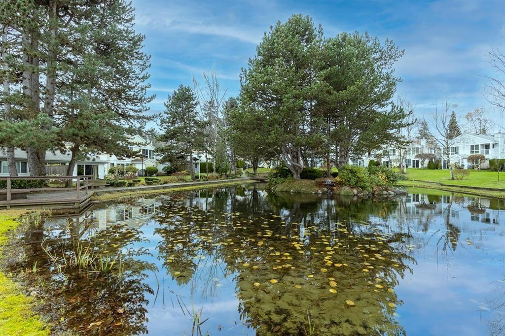 133 12233 92 Avenue, Surrey, British Columbia  V3V 7S3 - Photo 34 - R3059620