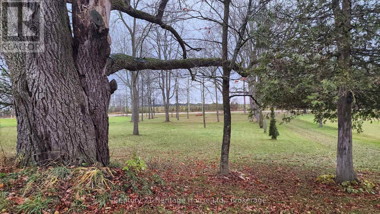 412563 Southgate 41 Side Road, Southgate, Ontario  N0G 2A0 - Photo 11 - X12533186