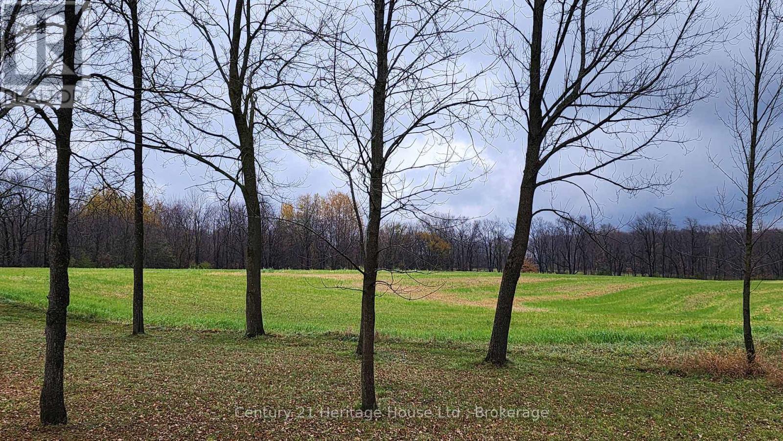 412563 Southgate 41 Side Road, Southgate, Ontario  N0G 2A0 - Photo 8 - X12533186