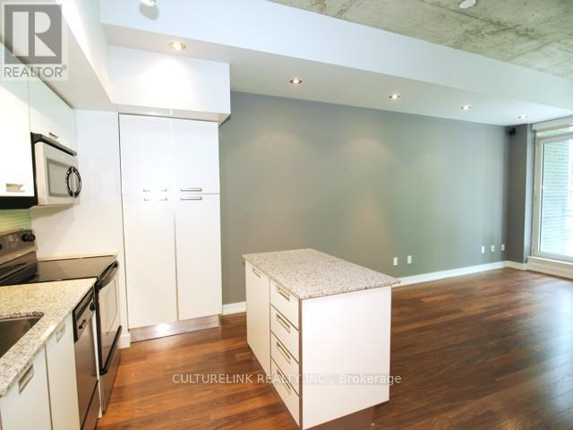 301 - 20 Stewart Street, Toronto, Ontario  M5V 1H6 - Photo 5 - C12533010