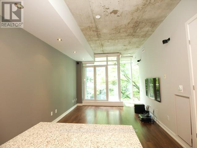 301 - 20 Stewart Street, Toronto, Ontario  M5V 1H6 - Photo 6 - C12533010