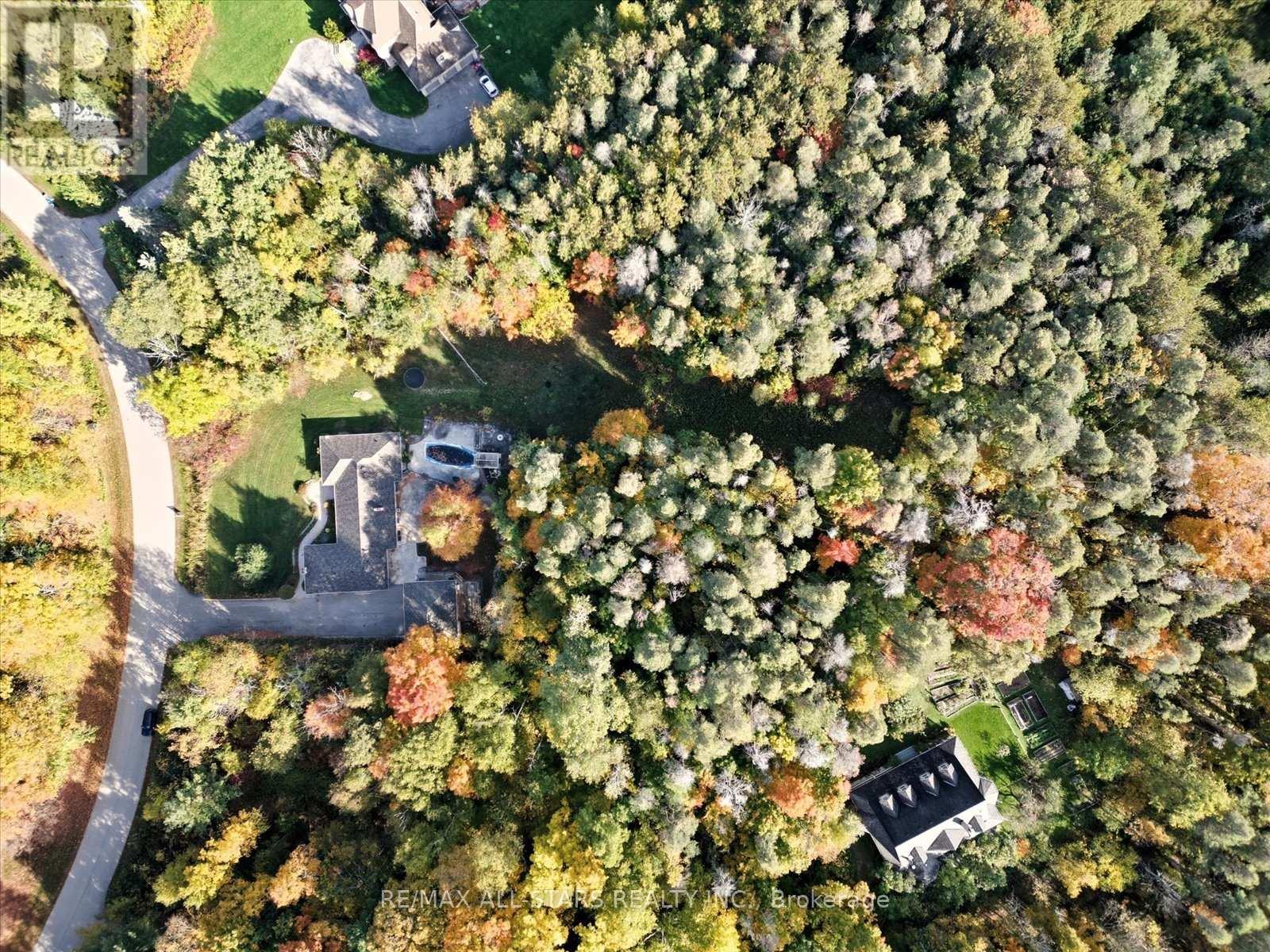 40 Algonquin Forest Drive, East Gwillimbury, Ontario  L9N 0C6 - Photo 49 - N12533030