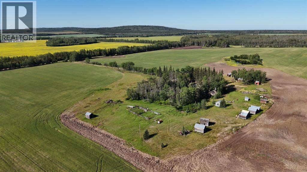 51020 Twp Road 862.5, Rural Clear Hills County, Alberta T0H 1K0 - Photo 24 - A2243467