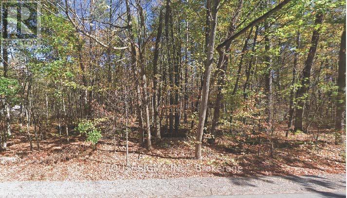 Pt Lt 8 Marble Point Road, Marmora And Lake, Ontario  K0K 2M0 - Photo 2 - X12533200