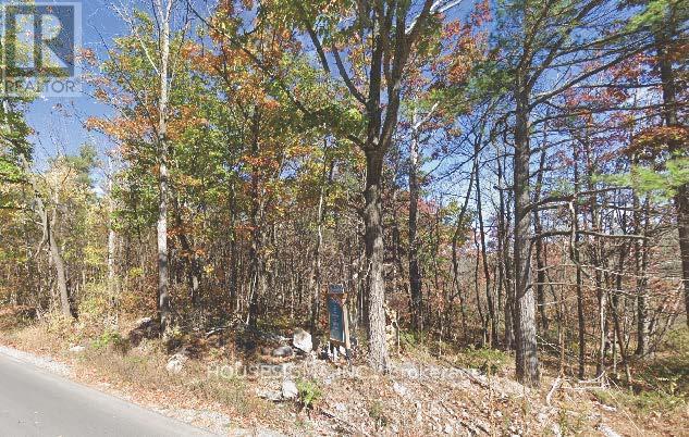 Pt Lt 8 Marble Point Road, Marmora And Lake, Ontario  K0K 2M0 - Photo 6 - X12533206